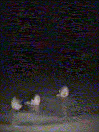 r3.gif