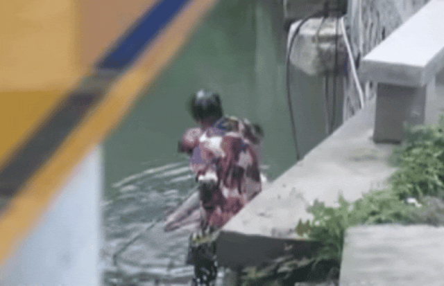640.gif