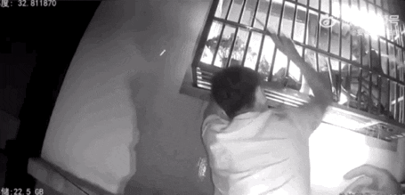 ༥.gif