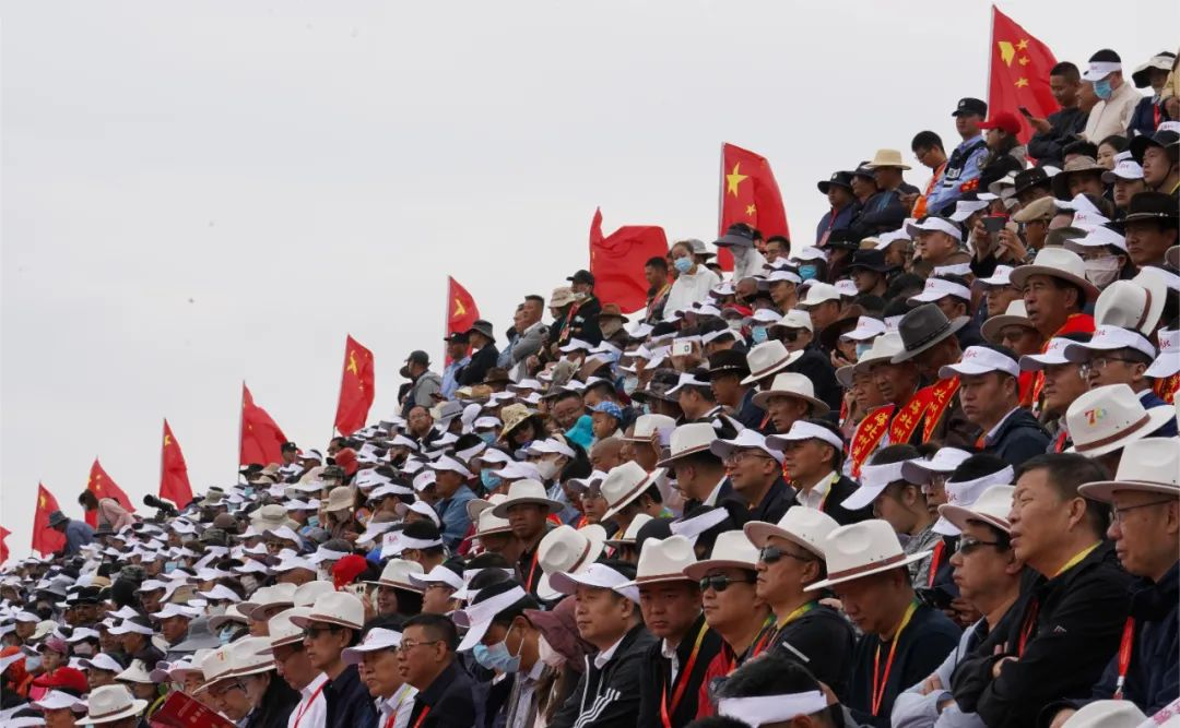 图片5.png