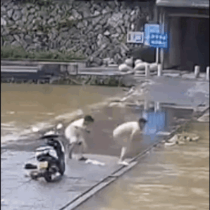 6.gif