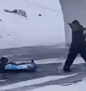 2.gif