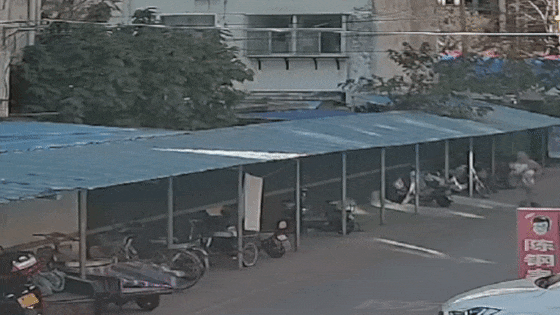 4.gif