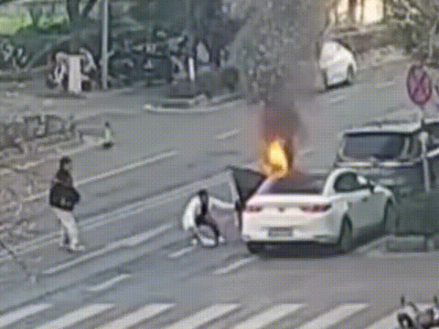 3.gif