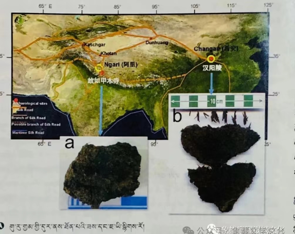 微信图片_20240205152039.jpg