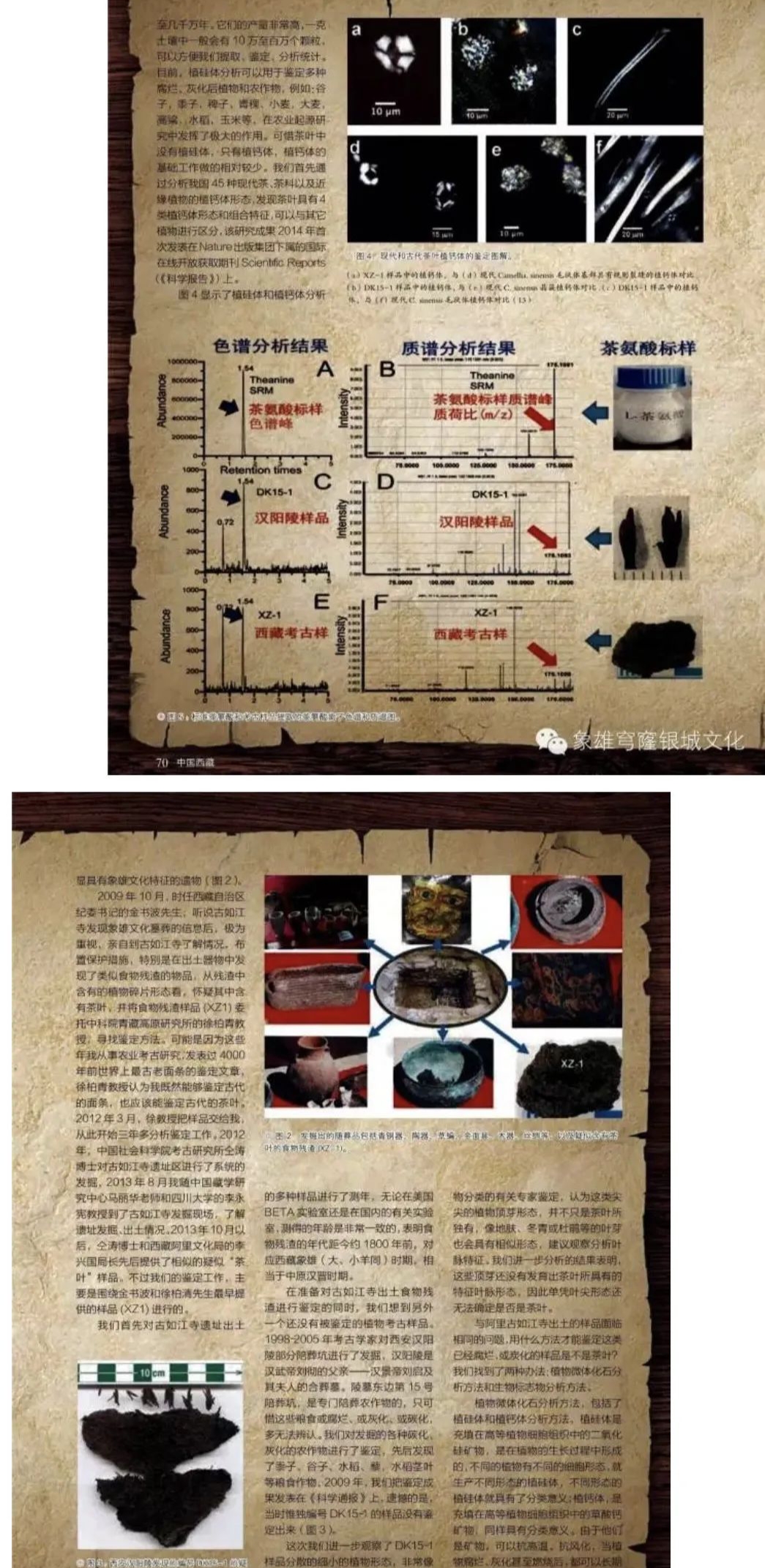 微信图片_20240205152100.jpg