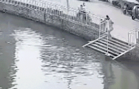 4.gif