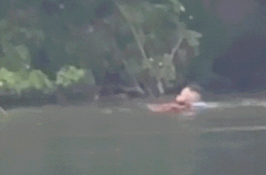 640.gif