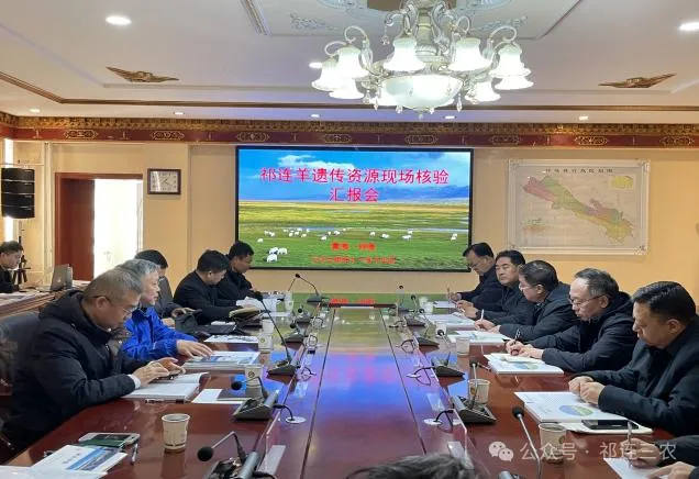 图片18.png