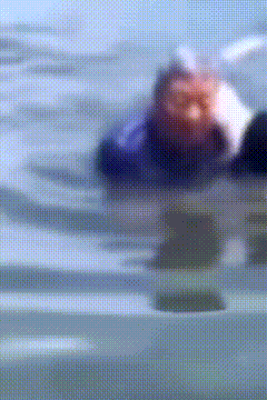 001.gif