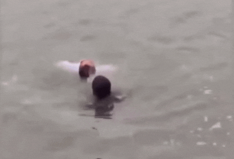 5.gif