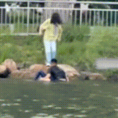 640.gif