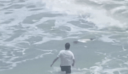 640.gif