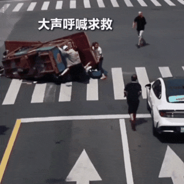 5.gif