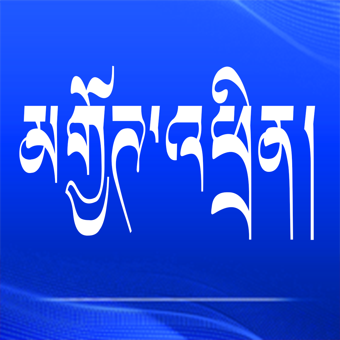 གཟིགས་སྦྲེང་དཔུང་རུ་ཁྲང་ཨན་ཁྲོམ་གཞུང་དུ་གྲལ་སྒྲིག་སྟེ་ཞི་ཅིན་ཕིང་གི་གཟིགས་ཞིབ་གཟི་བརྗིད་ལྡན་པའི་ངང་དང་ལེན་བྱ་རྒྱུ་རེད།