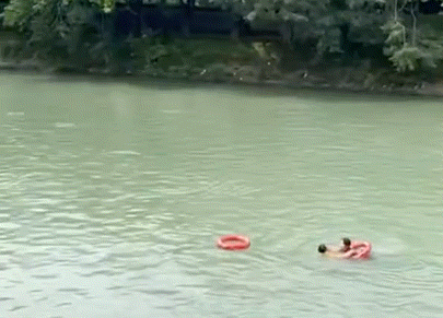 640.gif