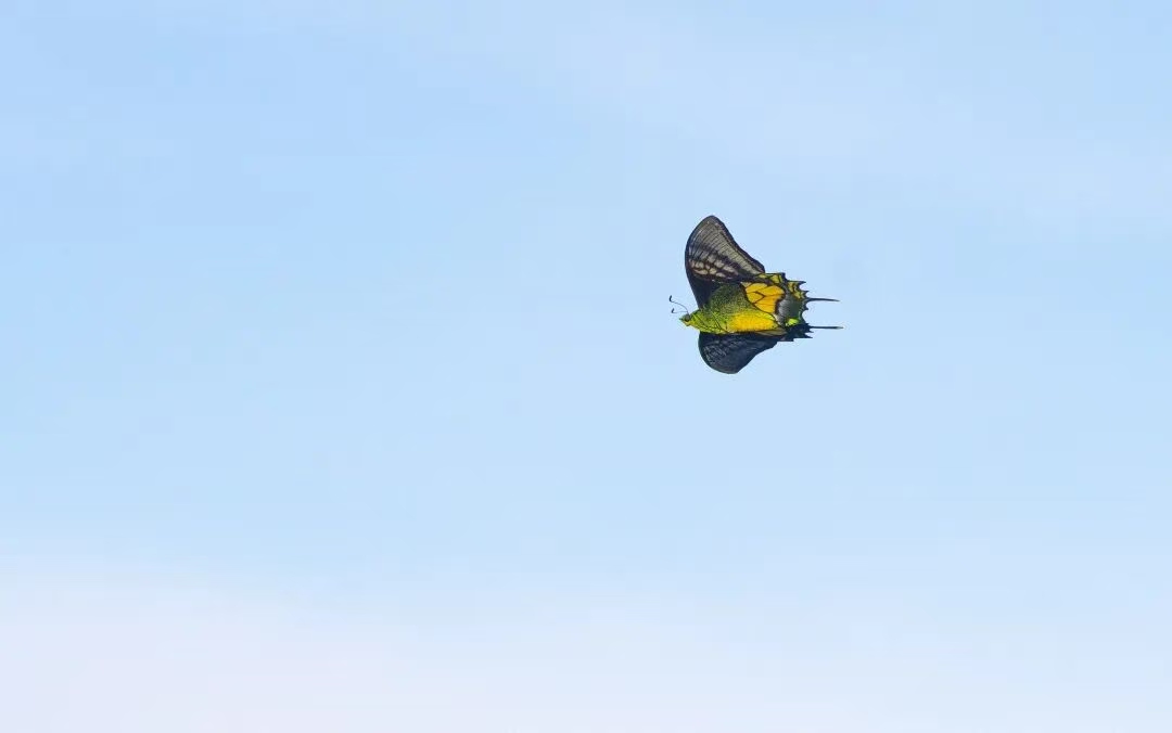 f38c5a90a414698ee83d707090c2754f.jpg